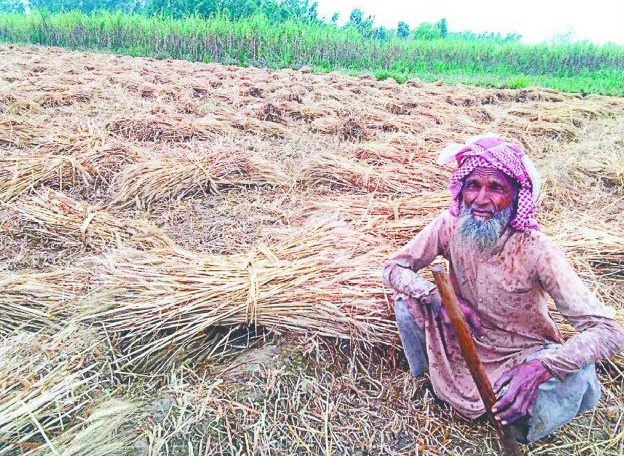 farmers in bijnor