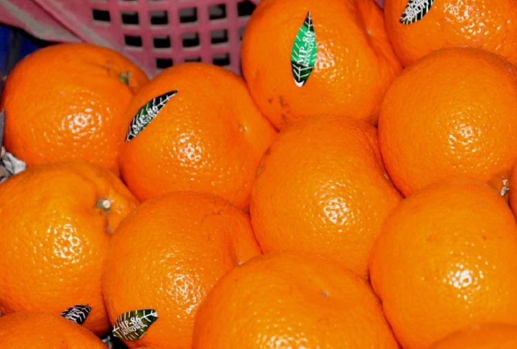 fruits orange sticker