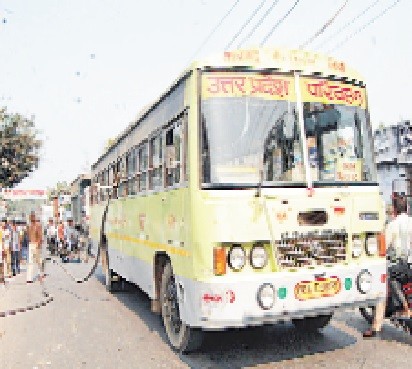 nagina bus