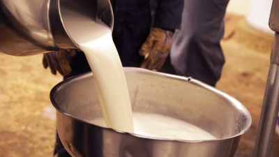 ज़िले में दूध के 70% तक नमूने फ़ेल